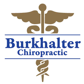 burkhalter-logo