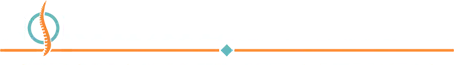 North Atlanta Spine Chiropractic Health & Wellness Logo