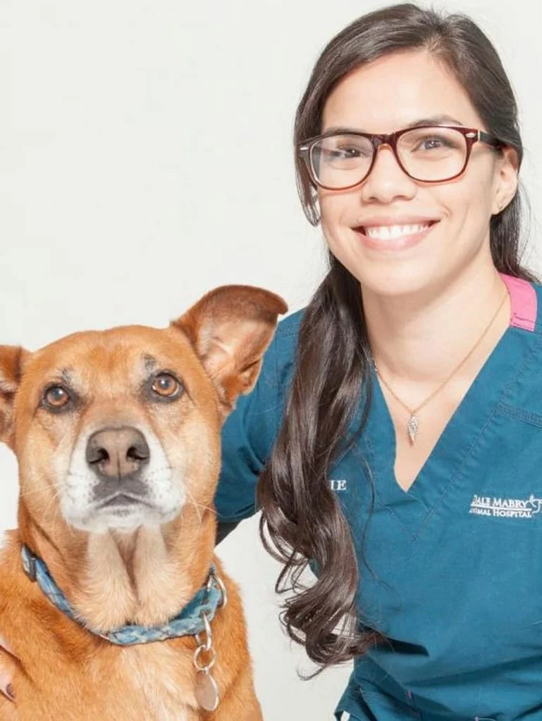 Jessie G Veterinary Technician