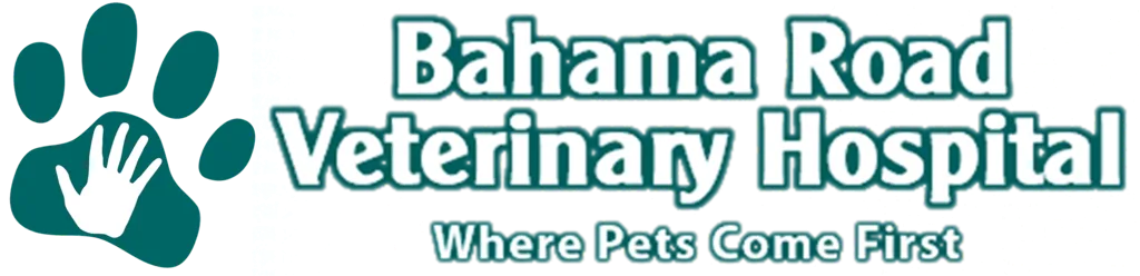 Bahama Road Veterinary Clinic