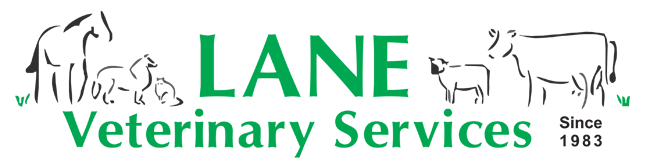 Lane Veterinary Services