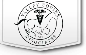 Valley Equine Associates