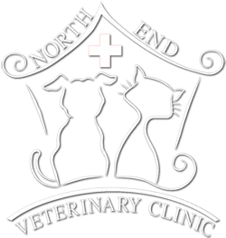 North End Veterinary Clinic