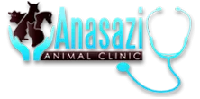 Anasazi Animal Clinic