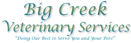 Big Creek Veterinary Services