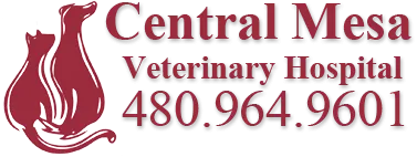 Central Mesa Veterinary Hospital