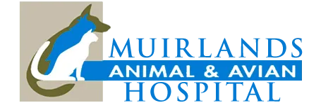 Muirlands Animal and Avian Hospital