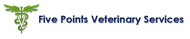 Five Points Veterinary Service