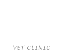 West Burleigh Vet Clinic