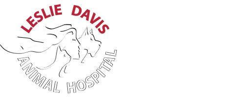 Leslie Davis Animal Hospital