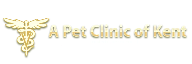 A Pet Clinic of Kent