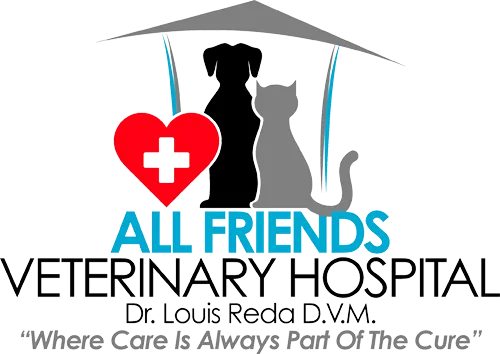 All Friends Veterinary Hospital