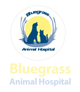 Bluegrass Animal Hospital
