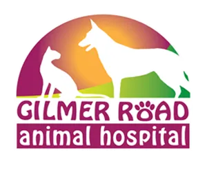 Gilmer Road Animal Hospital