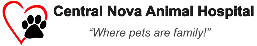 Central Nova Animal Hospital