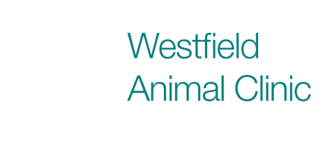 Westfield Animal Clinic