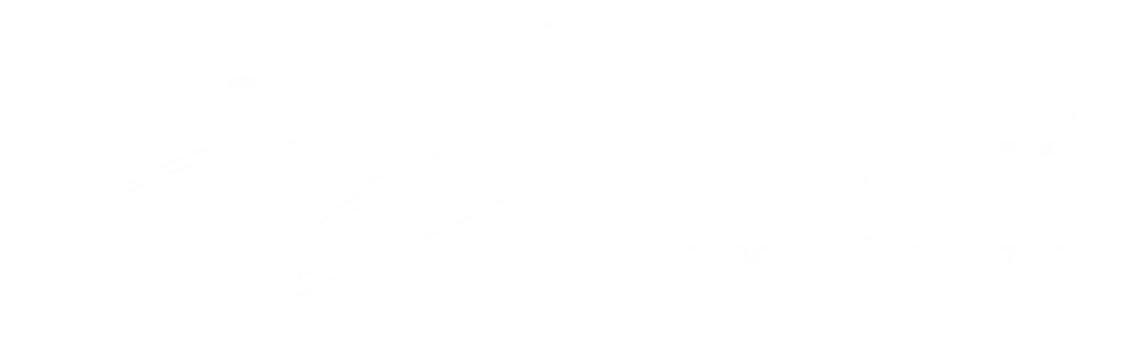 Zerona Z6
