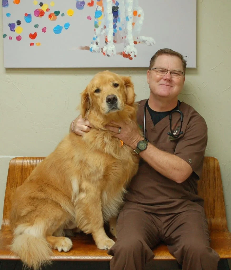 Sullivan, a golden retriever, sits on the left with Dr. Hudson on the right, wearing brown scrubs.
