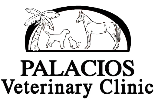 Palacios Veterinary Clinic