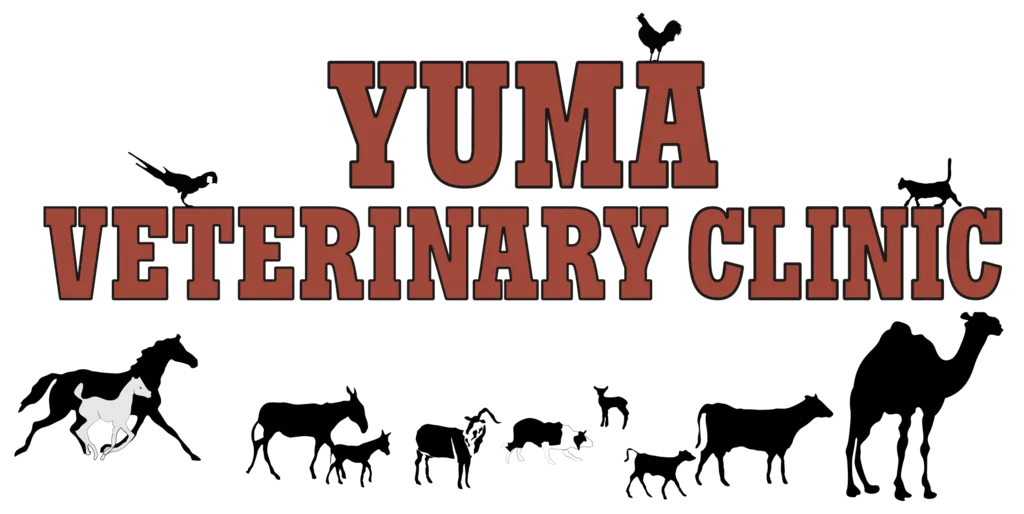 Yuma Veterinary Clinic