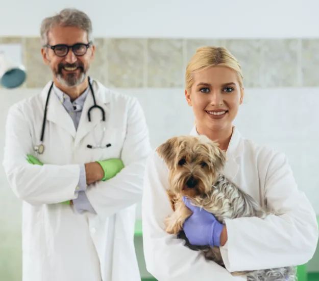 veterinarian holding a dog