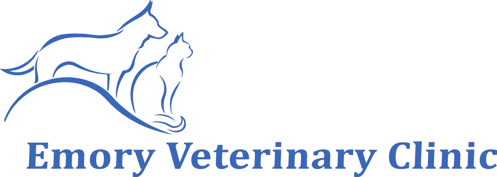 Emory Veterinary Clinic