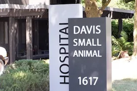 Davis Animal Hospital