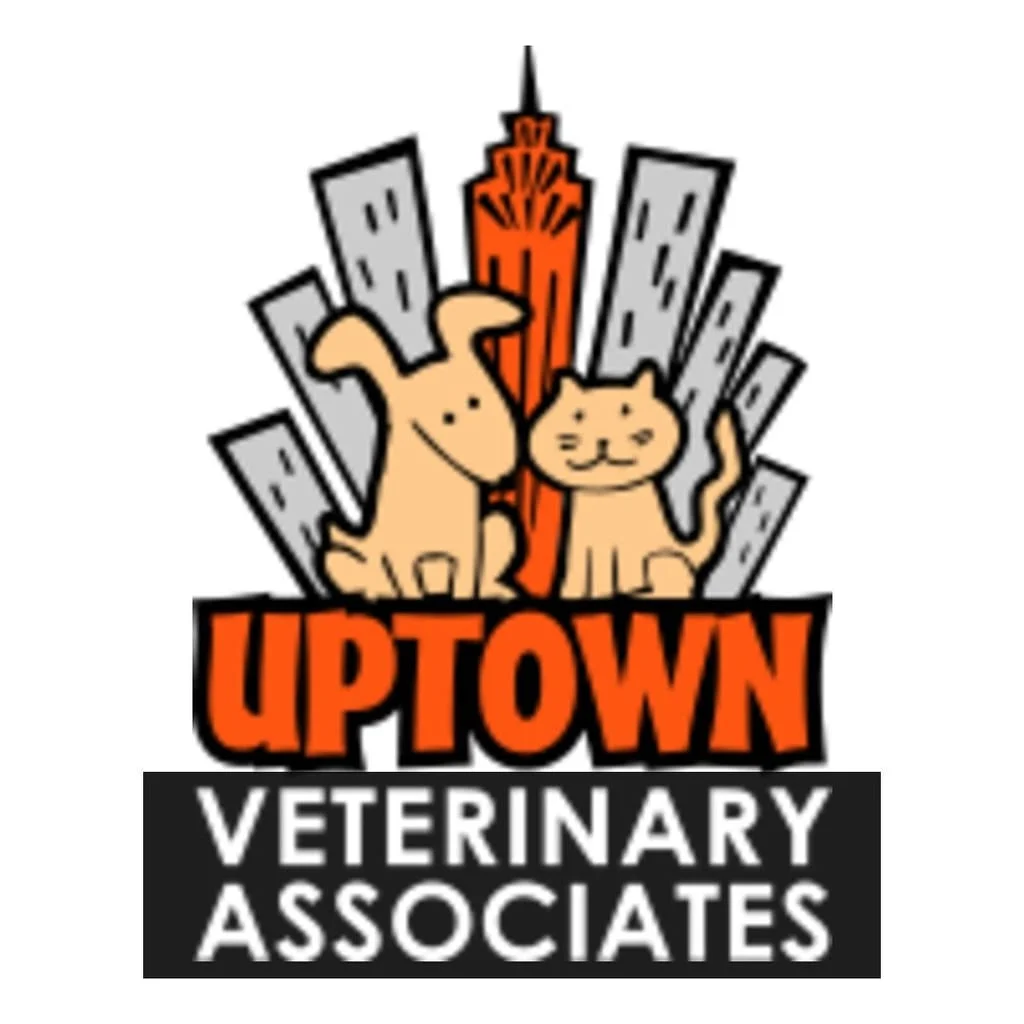 uptown veterinary associates