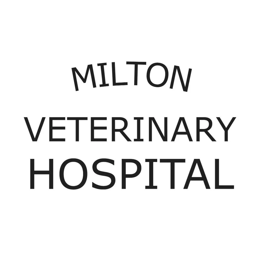 milton veterinary hospital