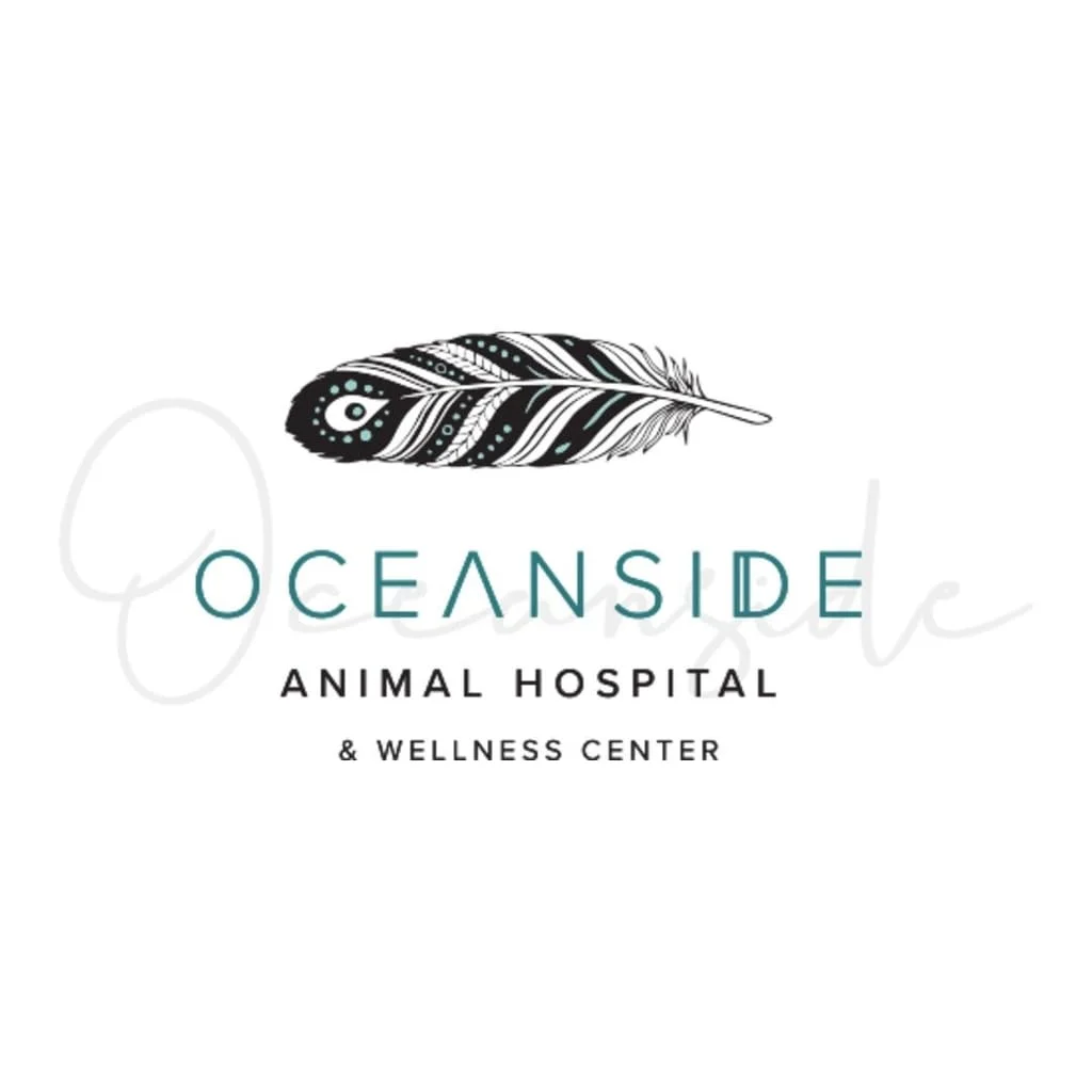 oceanside animal hospital