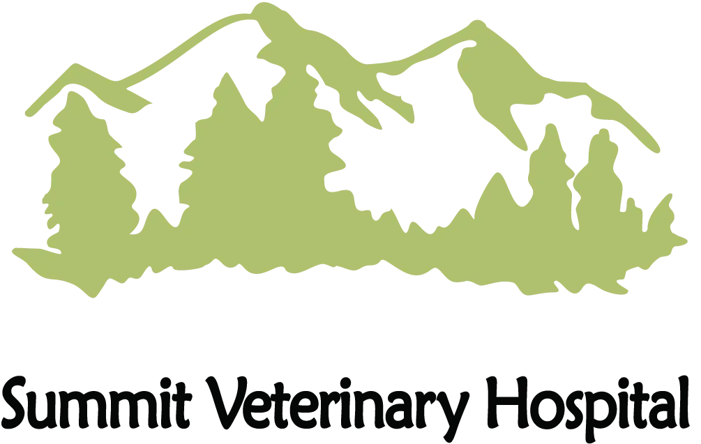 Summit Veterinary Hospital and Kennels