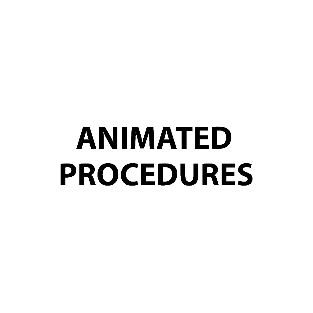 Animated Procedures