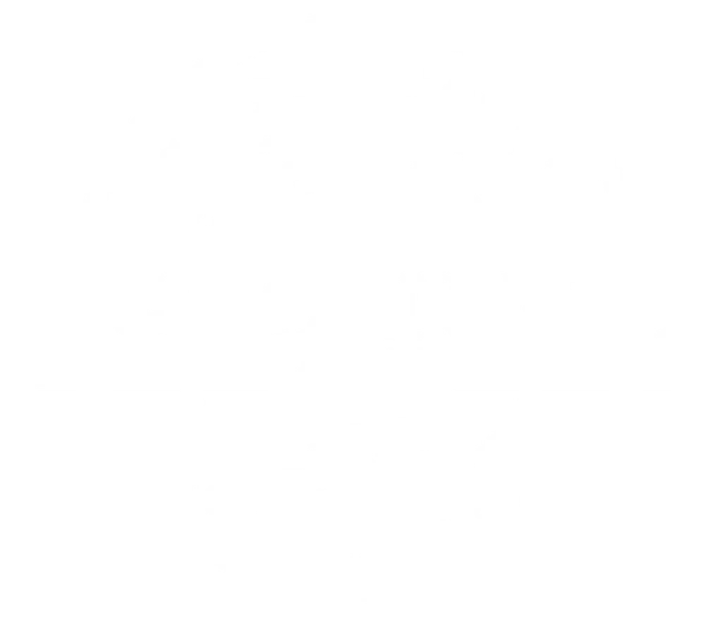 Bighorn Mountain Chiropractic and Acupuncture Logo
