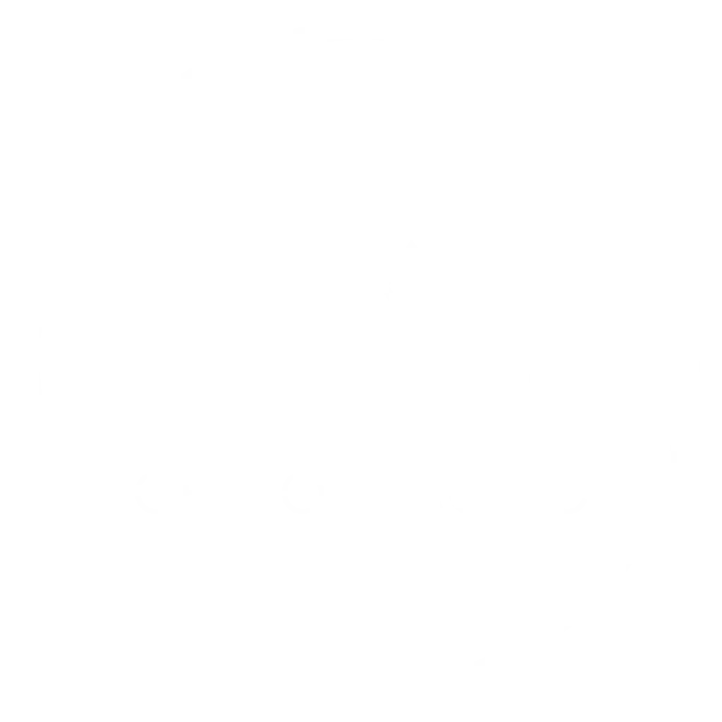 Everest Medical Group logo
