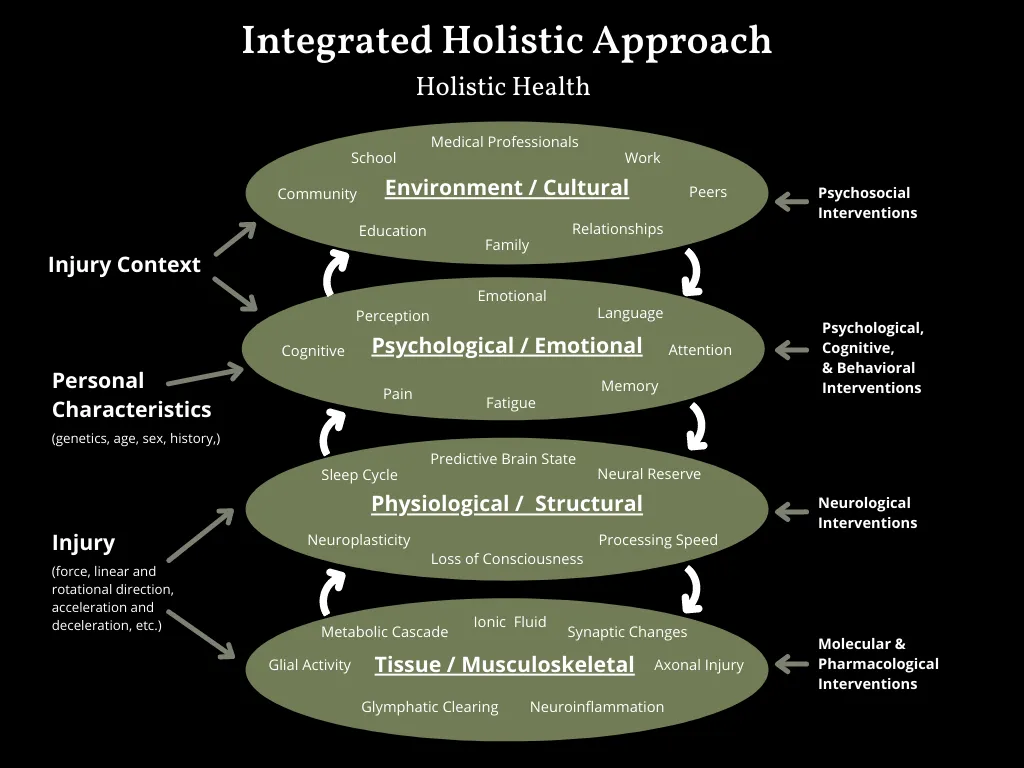 Integrated Holistic Approach Diagram