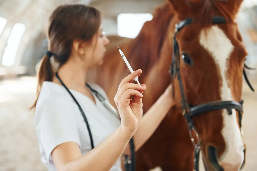 The Importance of Vaccinating Your Horse