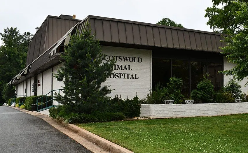 Costwold Animal Hospital