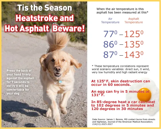 Asphalt Awareness 