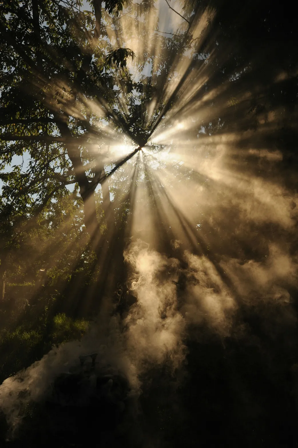 Sunlight Through Trees-wonderlane-_rmULTYorYQ-unsplash