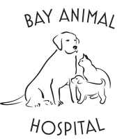 bay dog and cat hospital