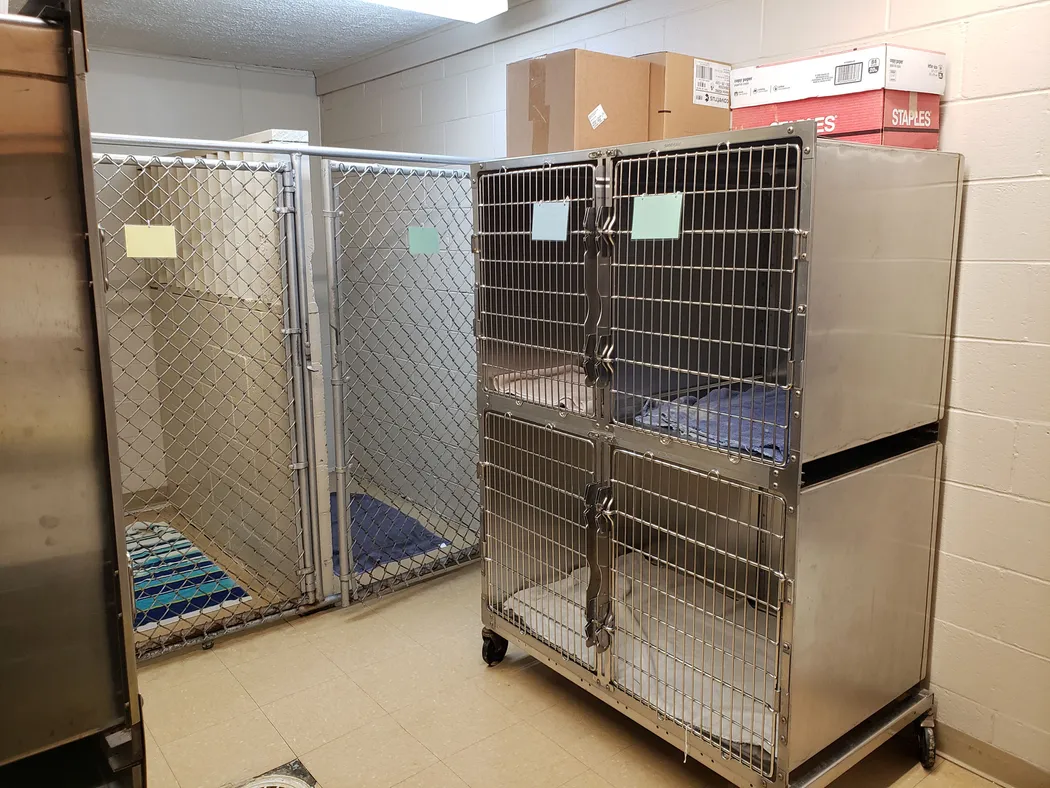 Kennel Area