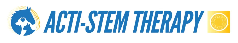Stem Cell Therapy