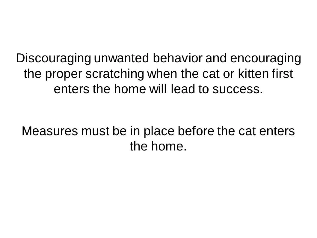discourage cat scratching
