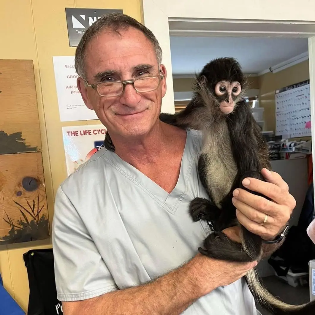 Everyone loves a baby Monkey 