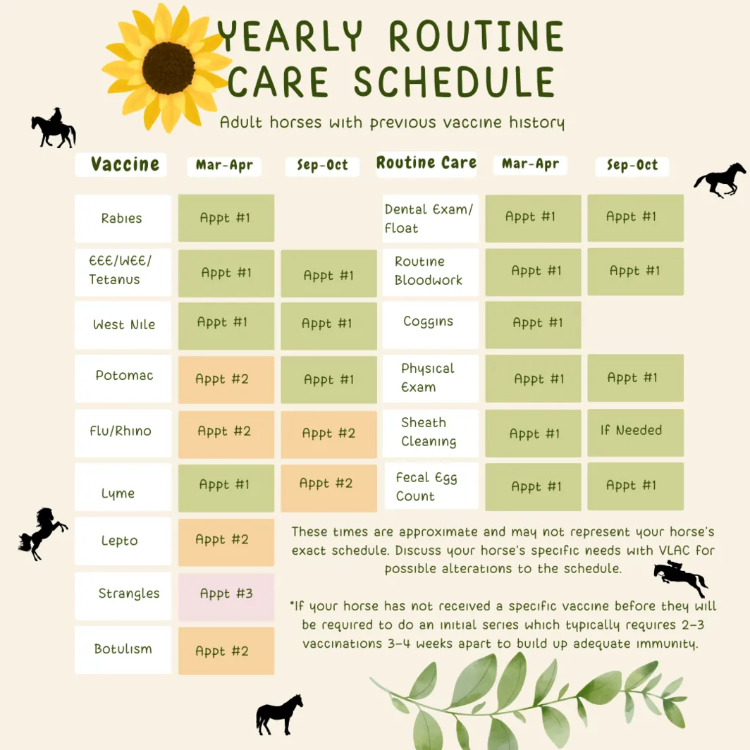 Routine Care Schedule