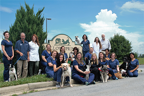 Yellow Springs Veterinary Clinic Veterinarian In Frederick Md Usa Meet Our Team