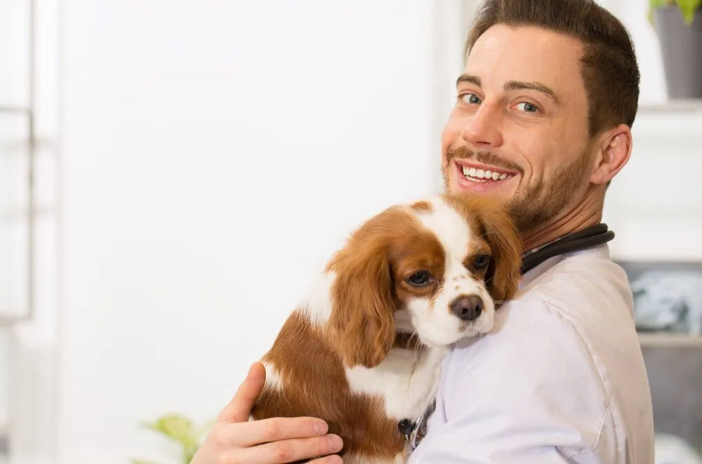 vet holding a dog