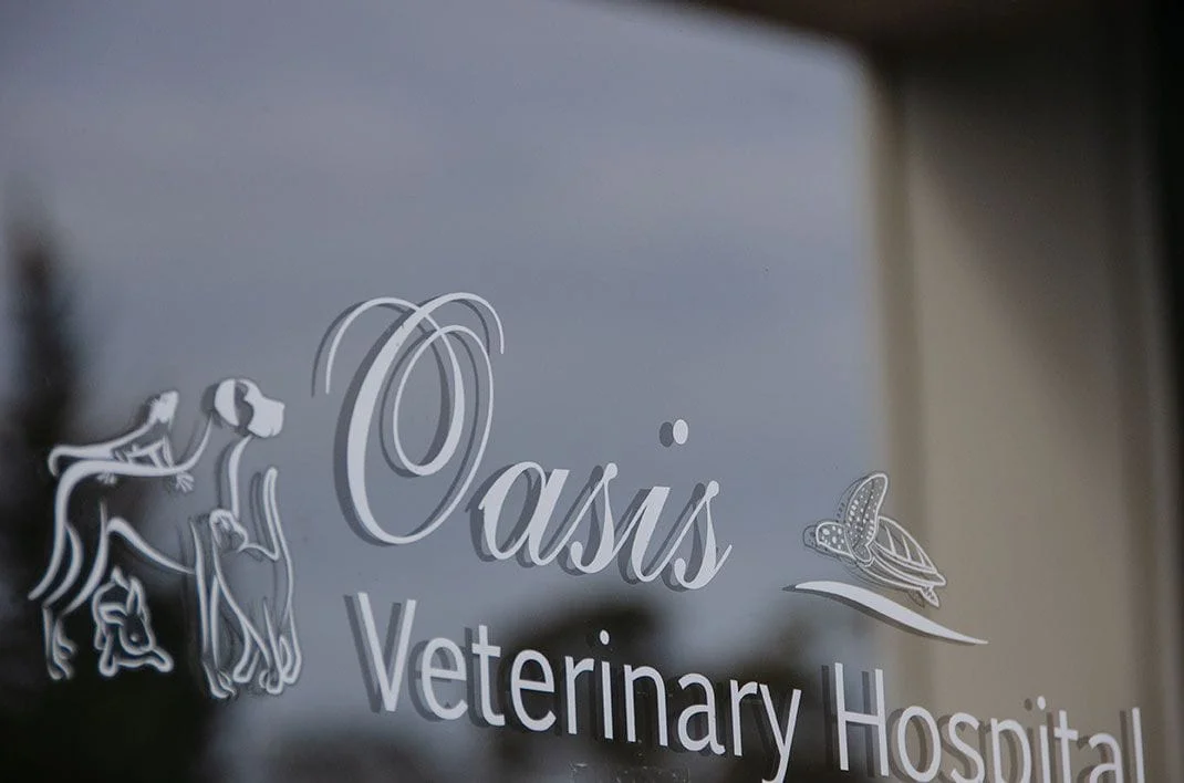 Oasis Veterinary Hospital