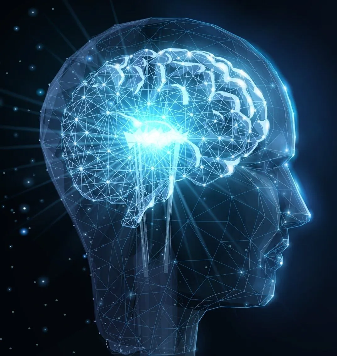 Brain Neurology Image