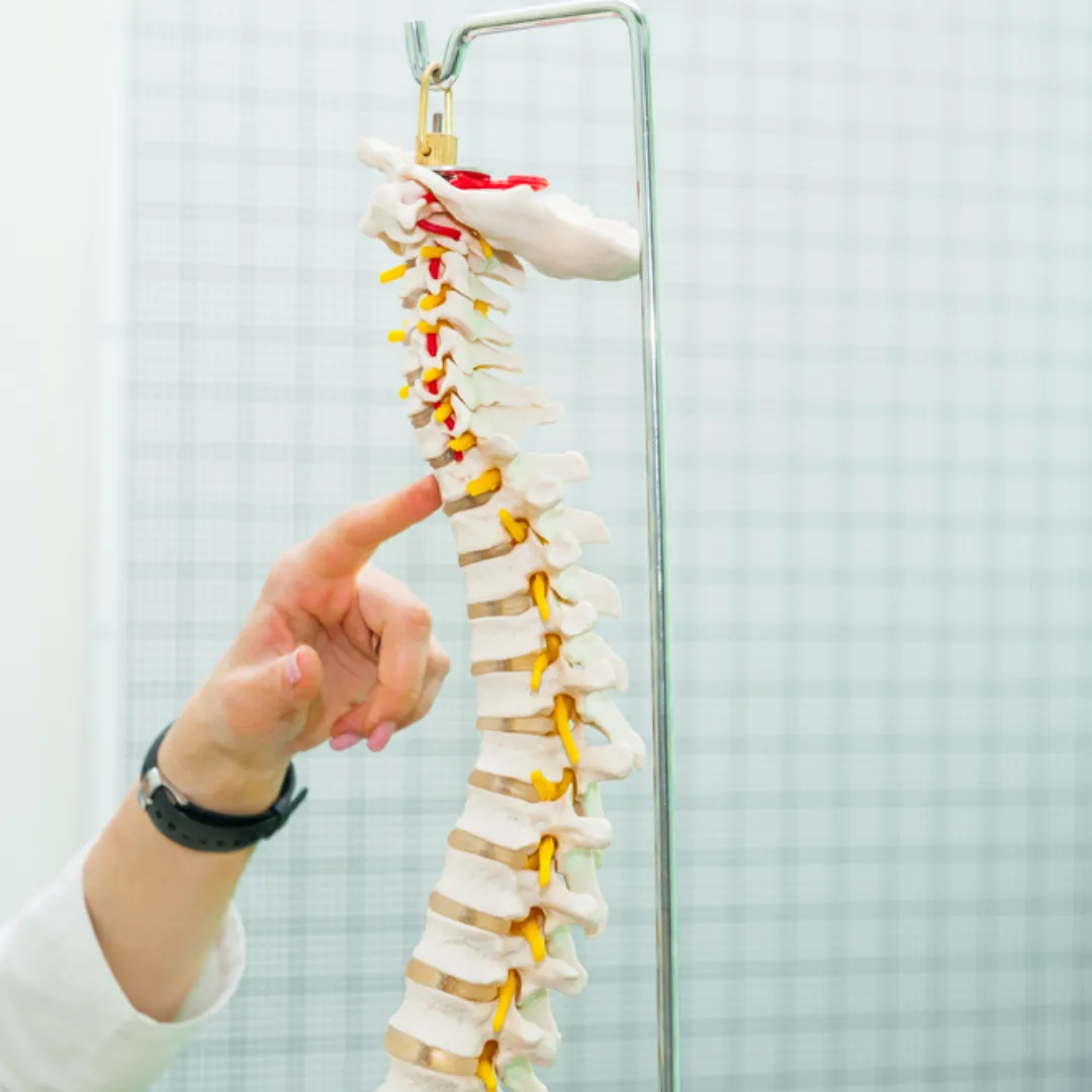 ​Spinal Adjustments